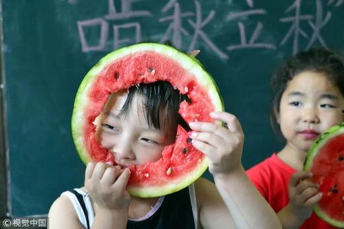吃瓜之日,揭秘娱乐圈幕后风云