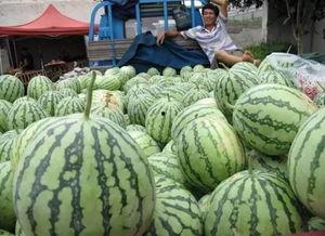 飞速吃瓜,揭秘娱乐圈的瞬间风云