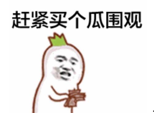 吃瓜表情鼻祖,揭秘网络红人的崛起之路