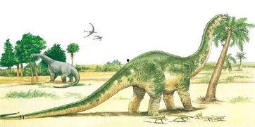 吃瓜恐龙布娃娃,吃瓜恐龙的趣味演绎