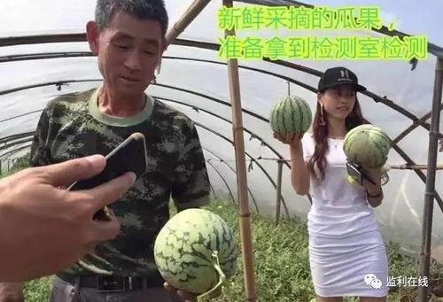 玄学直播算命吃瓜,揭秘网络吃瓜群众的神秘命运之旅