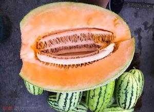 新疆味道吃瓜,尽享丝路甜蜜诱惑