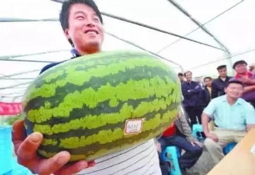 22号吃瓜,娱乐圈幕后真相曝光