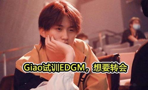 浅笑吃瓜后续,揭秘娱乐圈背后的秘密与真相