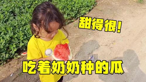 请奶奶吃瓜,请奶奶共享甜蜜瓜果时光