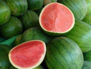 肠胃生瓜可以吃,生瓜的食用指南与营养解析