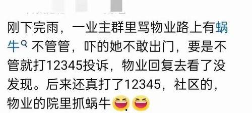 去群里吃瓜不,一场别开生面的“吃瓜”盛宴