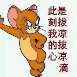 健身吃瓜群众图片大全,趣味健身瞬间大盘点