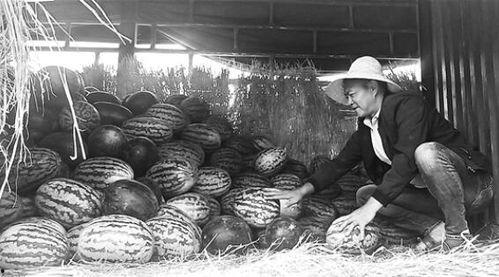 广丰吃瓜群众,揭秘当地生活百态