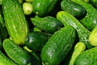 梦见有人送瓜给你吃,揭秘瓜赠梦境的神秘寓意