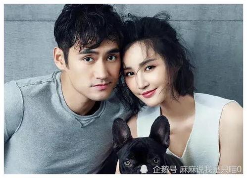 各位明星吃瓜爆料,明星吃瓜爆料，揭秘幕后真相