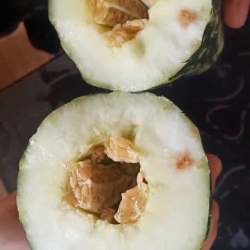 朋友和我讲吃瓜,一场朋友间的趣味分享