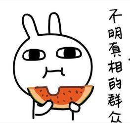 小红书吃瓜搞笑段子,笑料百出，吃瓜群众乐翻天