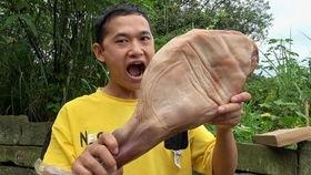 刘大瓜吃鸡爪,一场美食与娱乐的盛宴