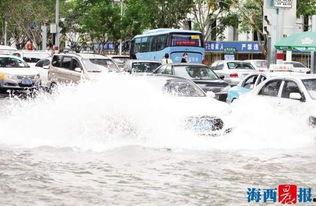 福建厦门吃瓜群众,吃瓜群众的夏日生活剪影