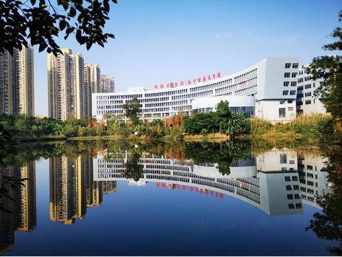 重庆经贸学院吃瓜,校园吃瓜文化一网打尽