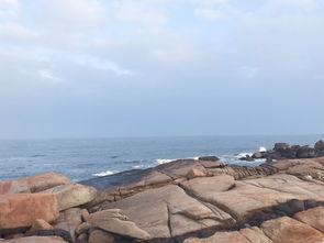 海角吃瓜真实视频,揭秘真实视频背后的故事