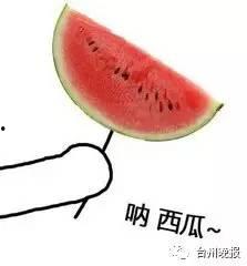 北方瓜地吃瓜图片,北方瓜地丰收美景