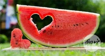 持续吃瓜,持续吃瓜的趣味与思考