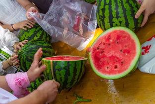 吃瓜有视频图片,视频图片带你领略娱乐圈风云变幻