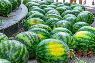 黄淮学院事件吃瓜