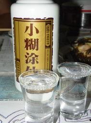 糊涂吃瓜小说,一场穿越时空的奇幻冒险