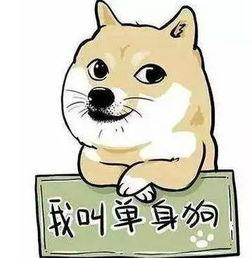 单身狗吃瓜群众