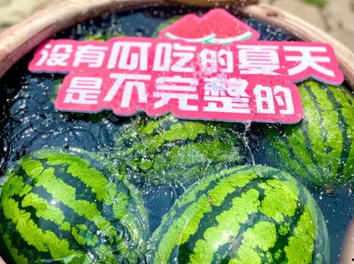 大型吃瓜秘籍,一网打尽娱乐圈风云