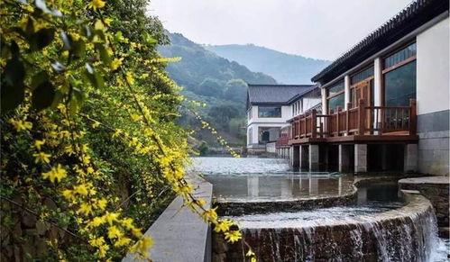 原神温泉节本 木南吃瓜,木南吃瓜，揭秘神秘温泉节背后的故事