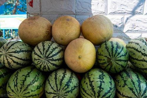 二蛋子吃瓜,揭秘娱乐圈背后的那些事儿