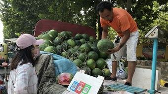 往年吃瓜和今年吃瓜,回顾往年瓜事，展望今年瓜界风云